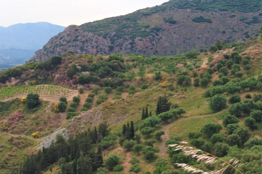 taxaki Explore Heraklion country side 2