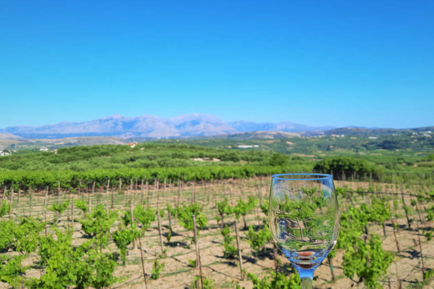 taxaki vineyard with glass
